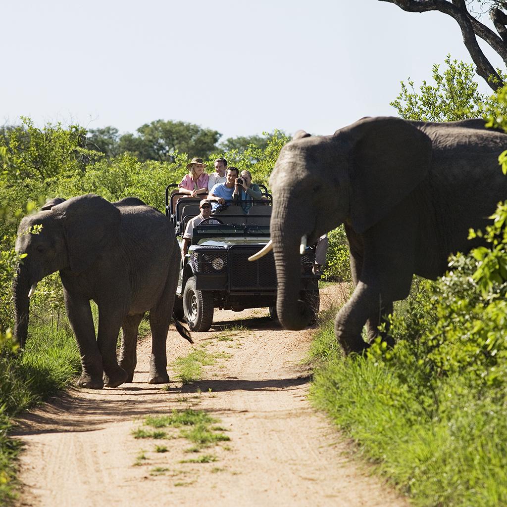 african safari packages with airfare